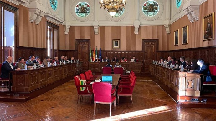 Foto del último pleno del año en la Diputación de Jaén