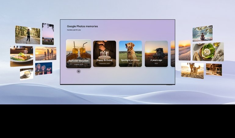 notibrasil sociedade