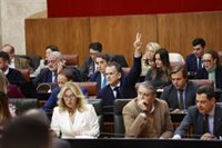 PP-A propone un Pleno del Parlamento el 22 de enero y cuatro sesiones de comisiones para impulsar debate de ocho leyes