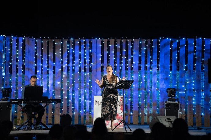 Actuació musical del 'Nadal de Somni'.