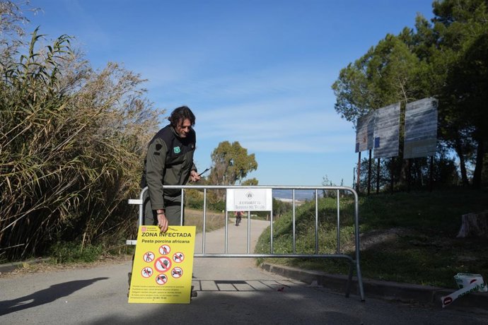 Efectivos de los agents rurals de los Mossos d'Esquadra en las zonas restringidas por la cuarentena ante la peste porcina africana.