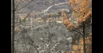 Las olas de calor fueron los eventos meteorológicos extremos más mortíferos de 2025, según WWA