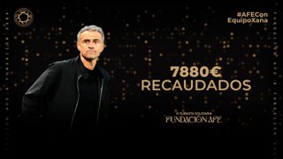 La VI Subasta Solidaria de la Fundación AFE recauda 7.880 euros a favor de la Fundación Xana.