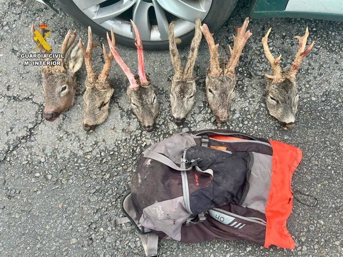 Detención por caza furtiva