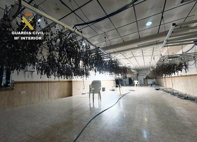 Vídeo de la noticia