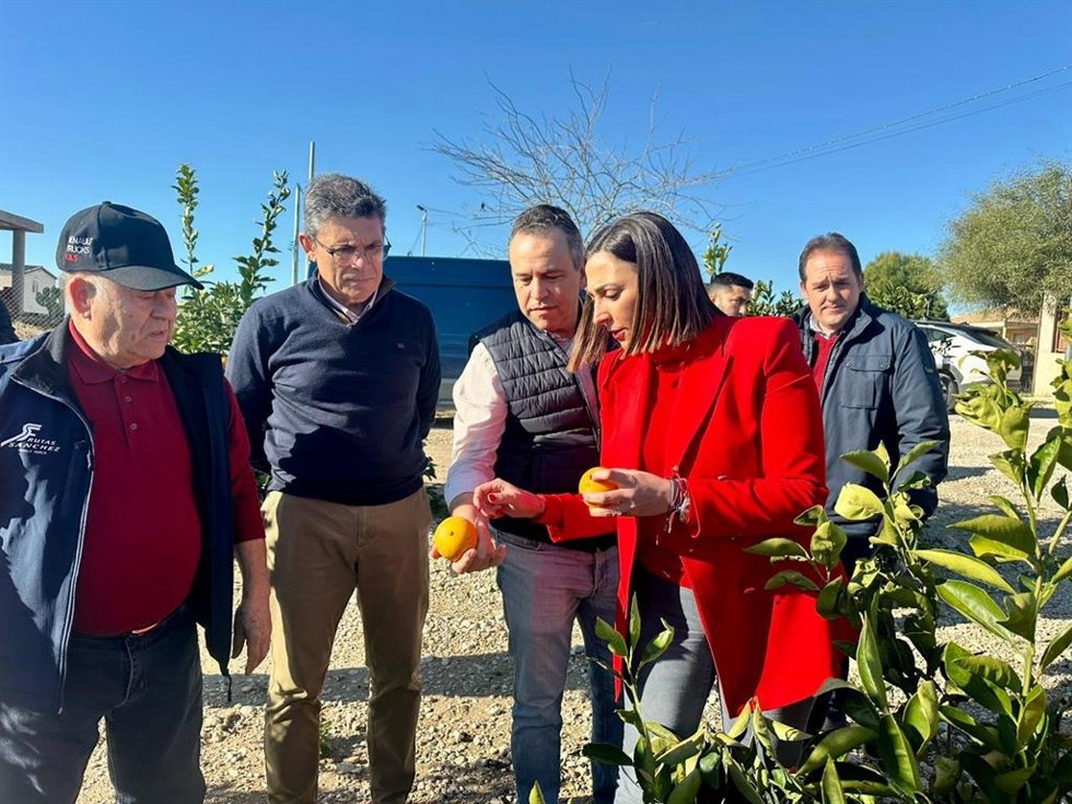 La consejera Sara Rubira visita una finca de cítricos de Abanilla con daños en frutos por el granizo