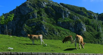 Asturias Rural