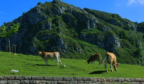 Asturias Rural