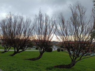 Cielos nublados en Euskadi.