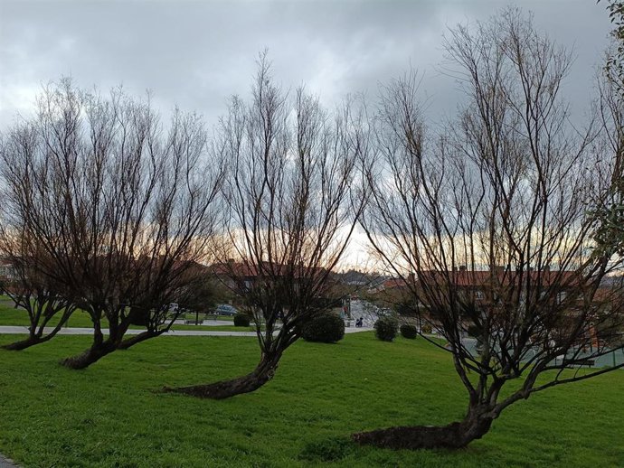 Cielos nublados en Euskadi.