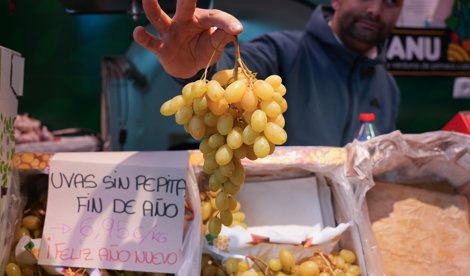 notibrasil sociedade