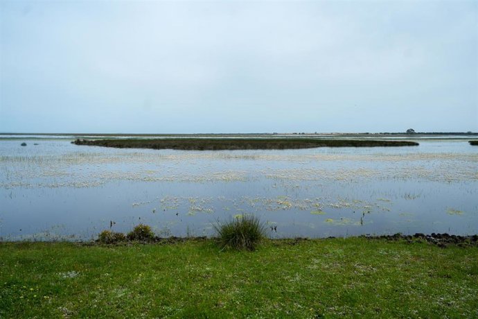 Archivo - Parque Nacional de Doñana. 