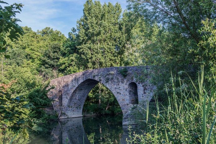 Puente de la Magdalena sobre el río Arga.
