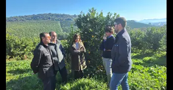 La Junta finaliza el año con el pago de indemnizaciones por sequía y lluvia a más de 2.000 agricultores malagueños