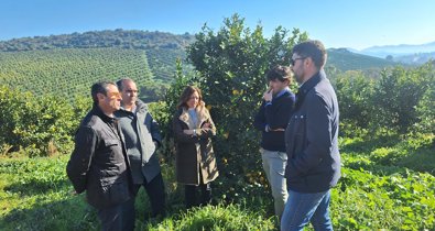 Es Andalucía - Málaga