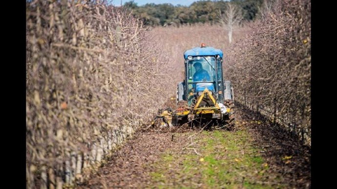 Las elecciones se harán en febrero