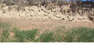 EpAgro - Agricultura