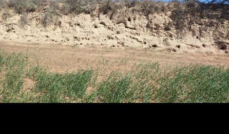 EpAgro - Agricultura