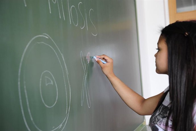 Archivo - Instituto Parque Goya, educación, enseñanza, clases, alumnos, instituto, clase, pizarra