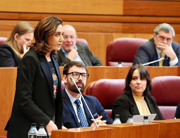 La secretaria general de UPL y procuradora Alicia Gallego en una de sus intervenciones en las Cortes de Castilla y León.