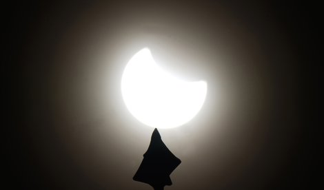 notibrasil sociedade