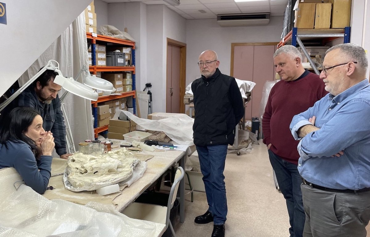 Un proyecto sobre el yacimiento El Cruce de Caudete (Albacete) permitirá completar la lista faunística del lugar