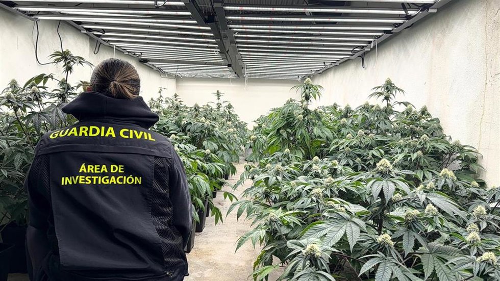 Imagen de archivo de la actuación de la Guardia Civil en Granada con plantaciones ilegales de hachís.