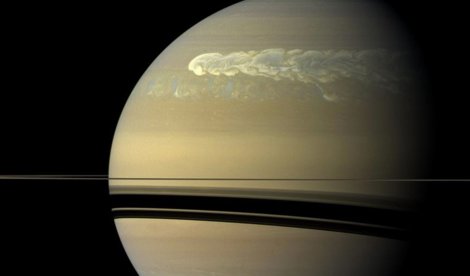 notibrasil sociedade