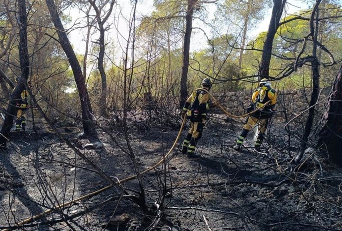 Archivo -  Un incendio forestal