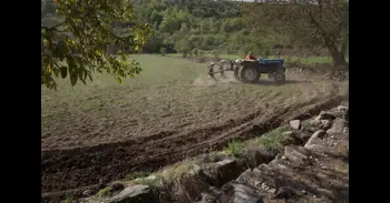 Agricultura convoca las subvenciones para la contratación de seguros agrarios en 2026