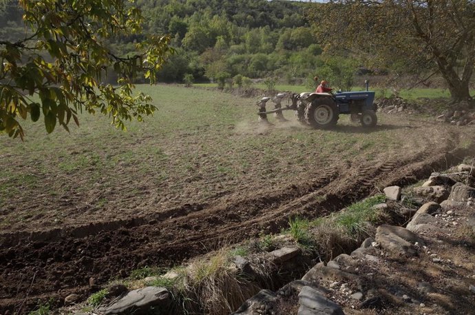 Agricultor trabajando en un campo de cultivo.