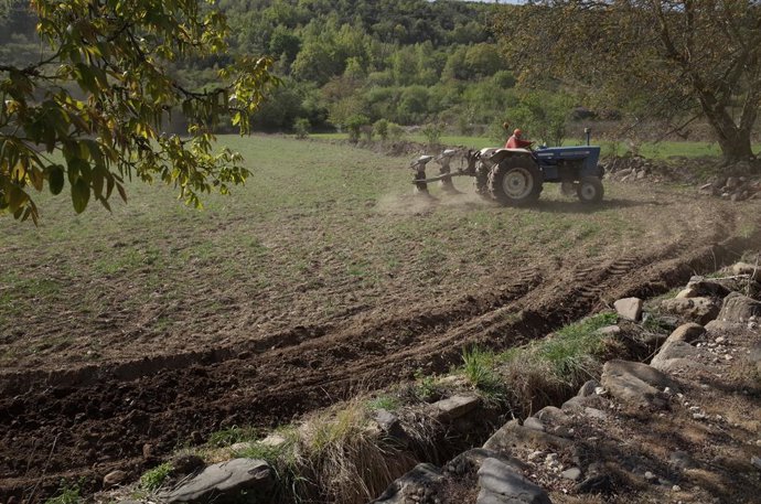 Agricultor trabajando en un campo de cultivo.