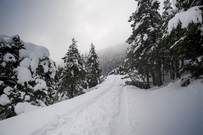 Estación de esquí de La Molina durante el temporal de nieve en Girona, a 28 de diciembre de 2025, en Girona, Catalunya (España). 