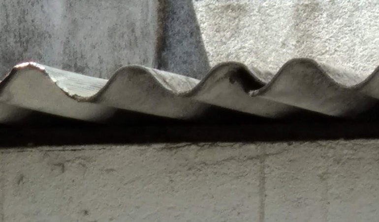 notibrasil sociedade