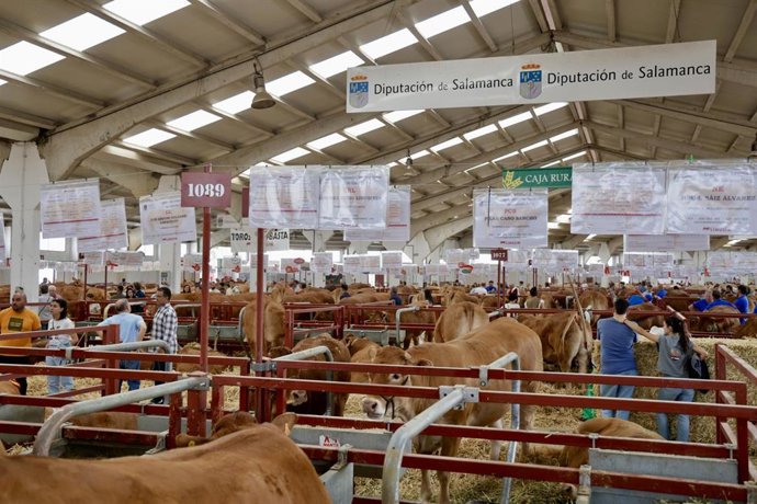 Archivo - Imagen de la celebración de Salamaq 2025.