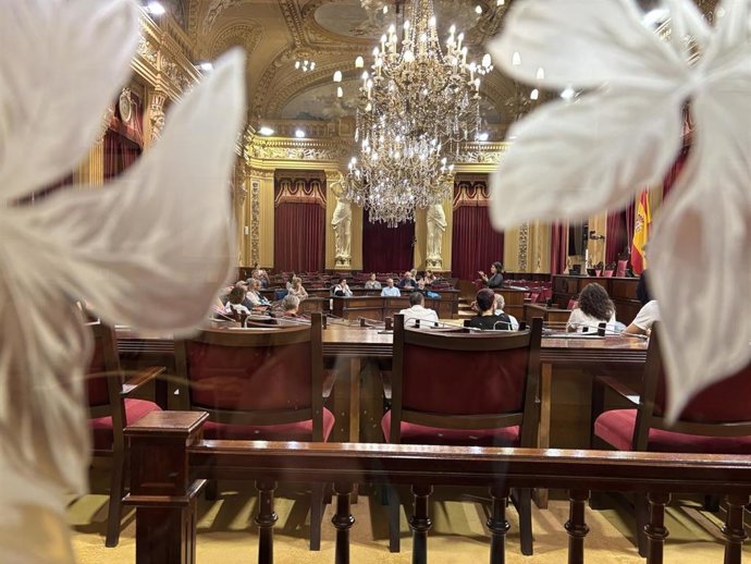 El Parlament bate récord de visitas en 2025, con más de 17.000 personas