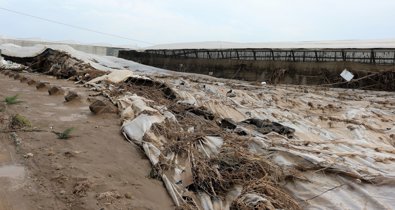 Es Andalucía - Sevilla