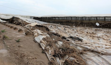 Es Andalucía - Sevilla