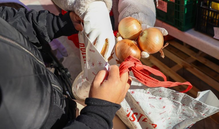 Cooperación y Desarrollo