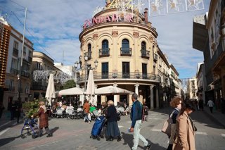 Gallo Azul en el centro de Jerez de la Frontera (Cádiz)