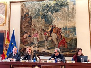 Expertos piden una reforma del artículo 50 de la Constitución