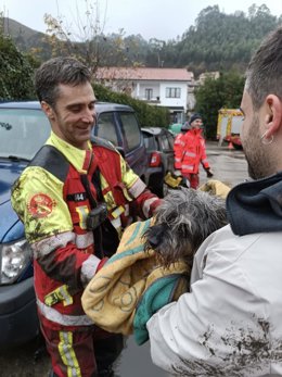 Rescatan a un perro atrapado en un conducto de saneamiento en Pechón