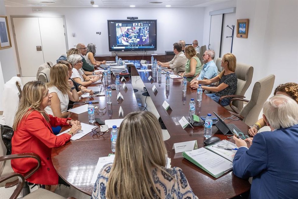 Archivo - Primer Encuentro virtual de comisiones de garantía y evaluación para la prestación de ayuda para morir organizado por la Consejería de Salud y Consumo. (Foto de archivo).