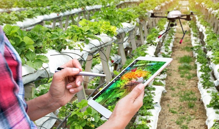 EpAgro - Agricultura