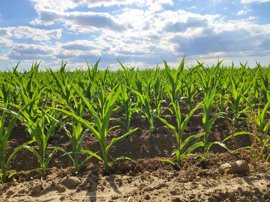Foto: UNIVERSIDAD DE LEÓN