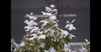 El frío y la nieve ponen este lunes en aviso amarillo a siete provincias de CyL