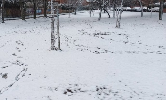 Nieve en la capital