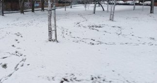 notibrasil política