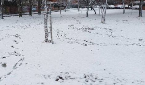 notibrasil política