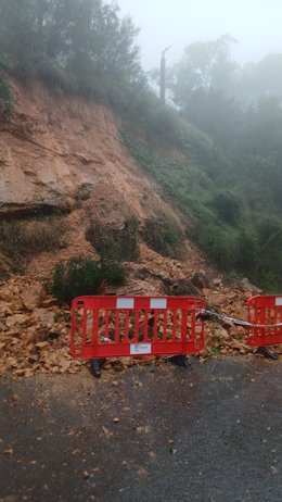 Imatge dels despreniments